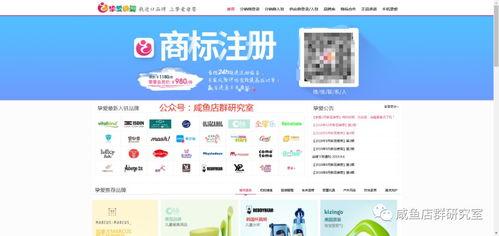 闲鱼和头条小店的区别,电商平台的差异化运营解析