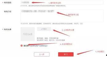 头条赚钱怎么认证的,轻松开启收益之旅