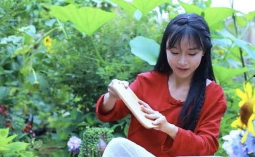 子柒网红,田园生活与网络红人的完美融合