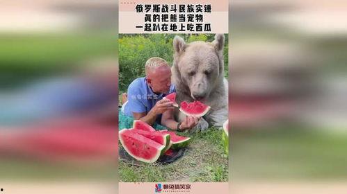 熊瓜怎么样吃,解锁美味新体验
