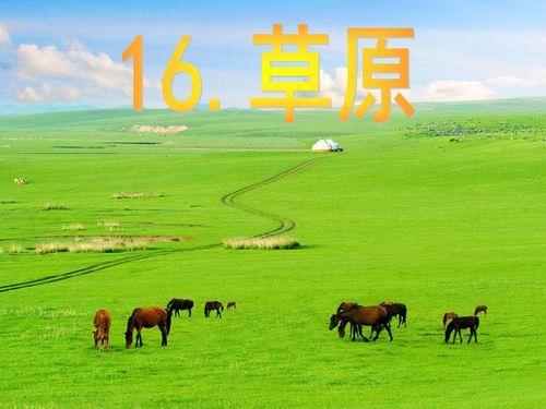 网红歌曲童年在草原上,回忆那无忧无虑的歌声岁月