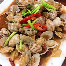 海网红调色,海网红调下的视觉盛宴