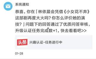 头条认证哪个领域的好用,揭秘哪个领域的好用秘诀