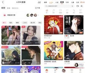 头条看完视频如何打赏