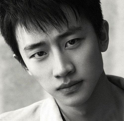 宁夏出来的明星,璀璨星河中的宁夏之光