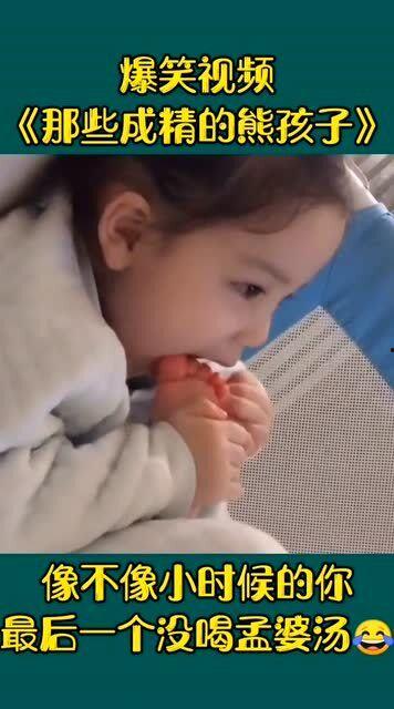 熊孩子爆料视频,视频曝光家庭生活幕后趣事