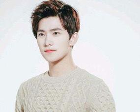 河南籍黑点明星