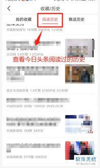 怎么查头条的浏览信息,轻松查询浏览数据秘籍