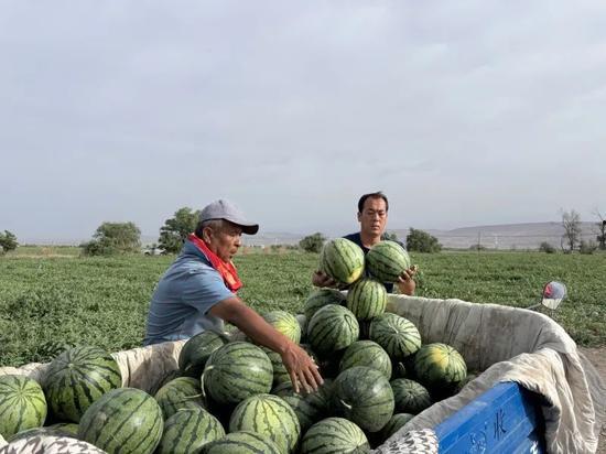 22年吃瓜新闻,2022年度娱乐圈吃瓜大事件盘点