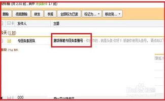 头条作者号与个人号,揭秘两者差异与运用策略