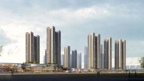 网红圳,揭秘网络红人的崛起之路