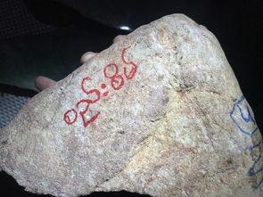 春料翡翠皮壳怎么看品质,春料翡翠皮壳品质鉴定指南