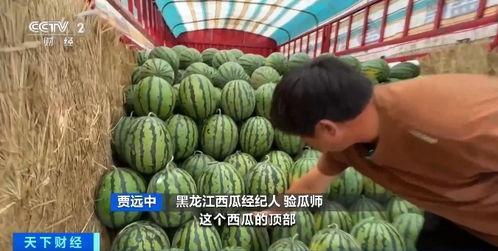 吃瓜大概多少钱,揭秘不同瓜类的大概花费