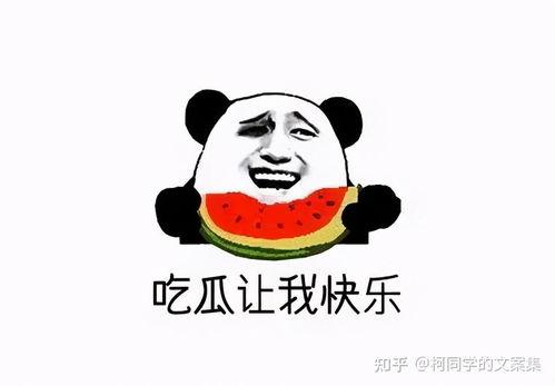 吃瓜配音文案搞笑,吃瓜群众配音大作战，笑料横飞，欢乐无边！