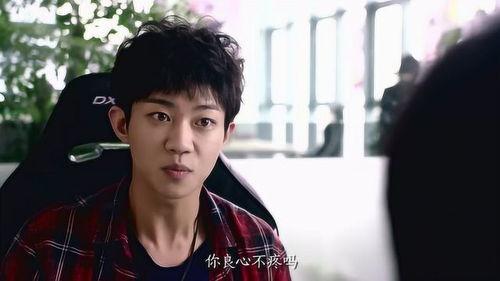 网剧约吧大明星,娱乐圈的甜蜜邂逅与成长之旅