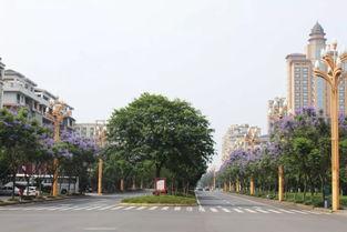 峨眉网红街,探寻四川峨眉山下的时尚风情打卡地