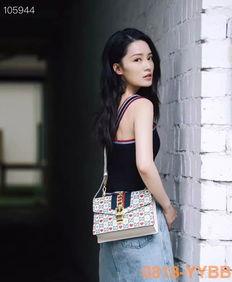 李什么文明星,璀璨星途，砥砺前行