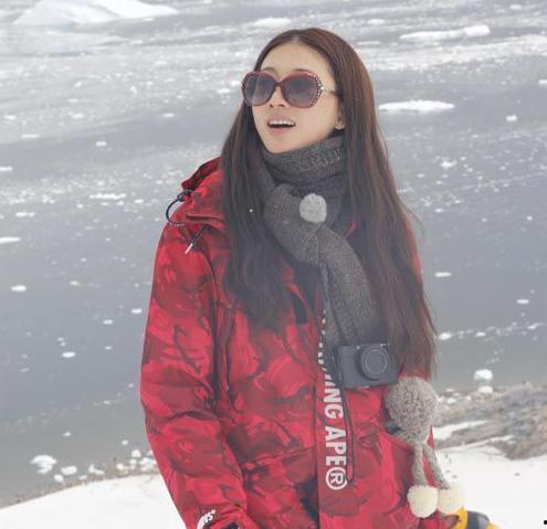 北极圈明星,探寻北极圈璀璨明星的传奇故事